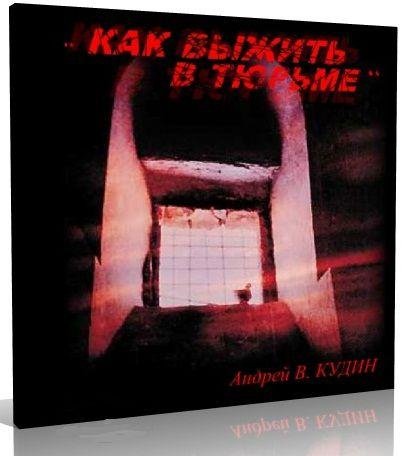 Кудин Андрей. Как выжить в тюрьме - roya