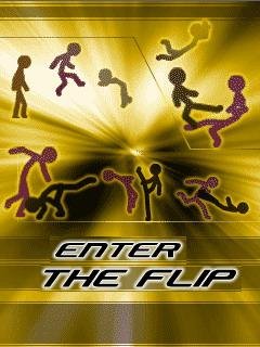 Вход в Флип (Enter The Flip)