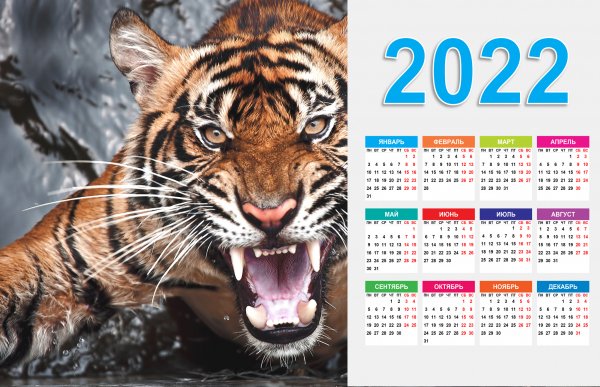 ТИГР С КАЛЕНДАРЕМ 2022