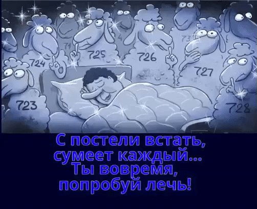 file_79491169