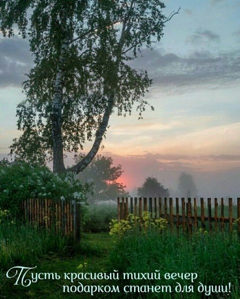 Тихий вечер