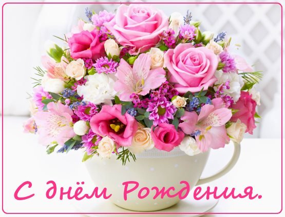 IMG 20181204 080569