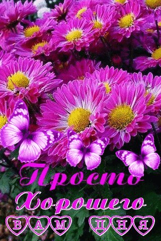 Анимированная открытка хорошего дня (3)