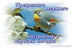 Прекрасного настроения