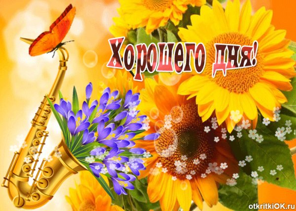 Хорошего дня!