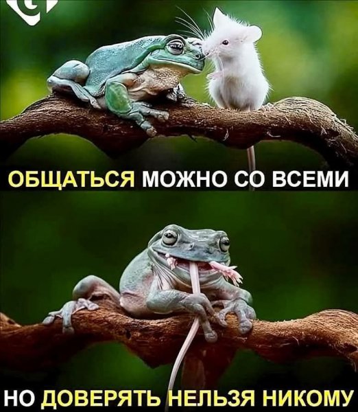 FB IMG 1753986402817