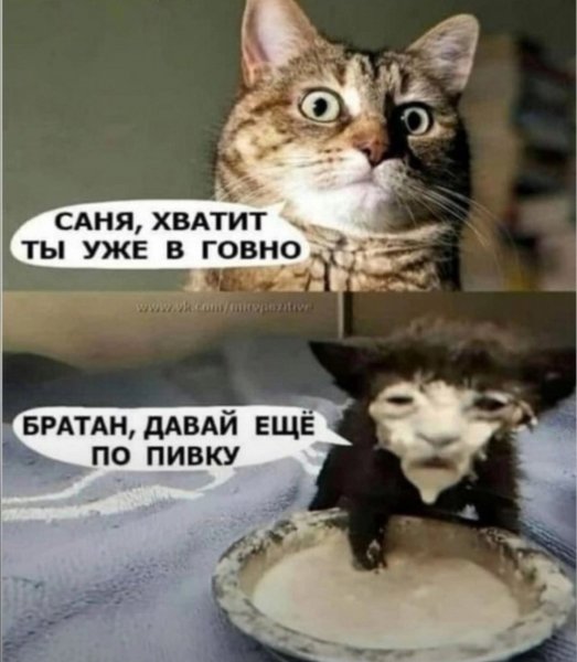 file_95188373
