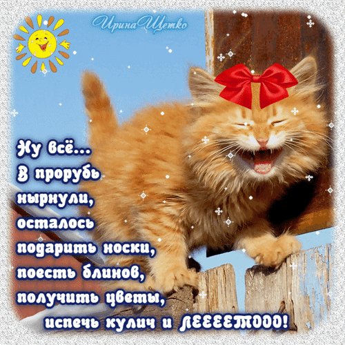 Анимированная открытка ну все в прорубь