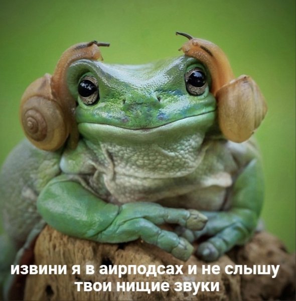 file_95908865
