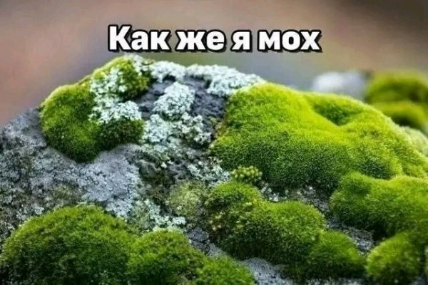 file_103147612
