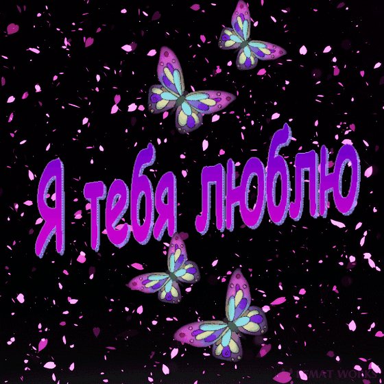 IMG 20170810 163834 41