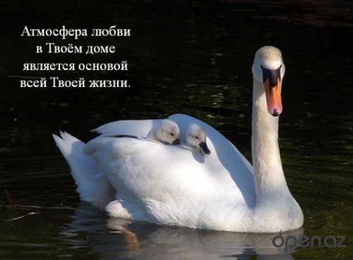 Погода в доме