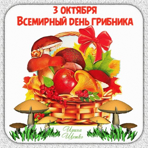 Анимированная открытка день грибника
