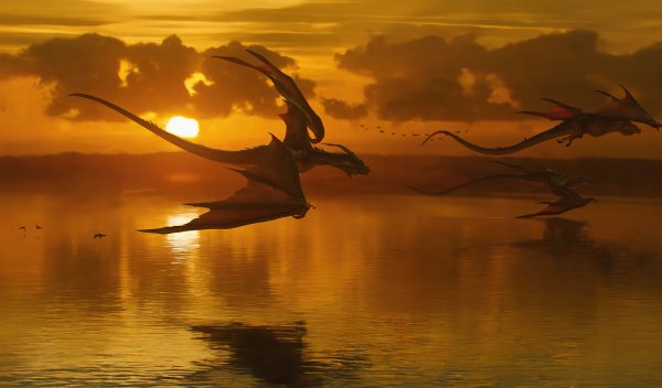 Dragons