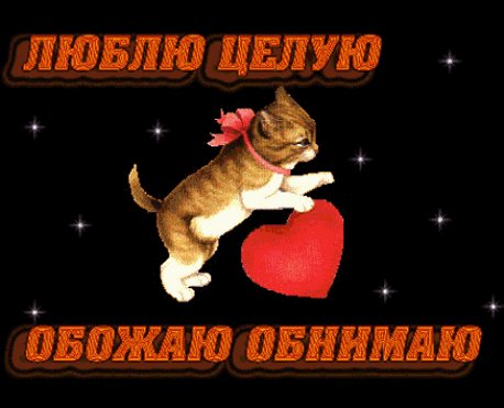 Люблю.целую