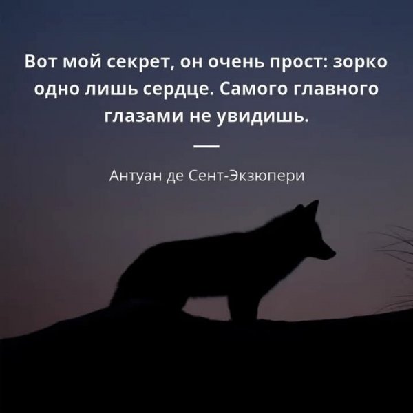FB IMG 1760531305898