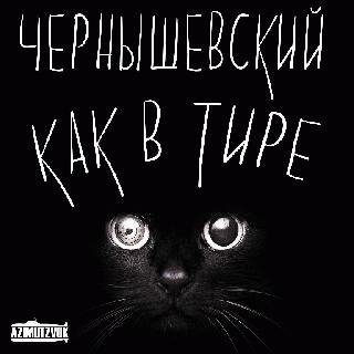 Чернышевский. Как в тире