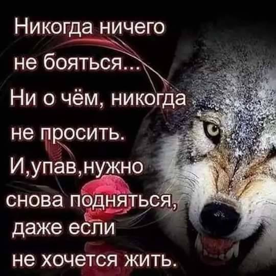 Никогда