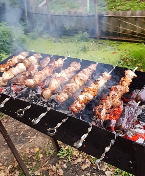 file_103312495