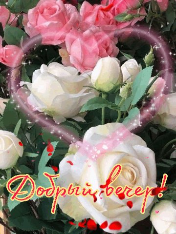 IMG 20220920 190448