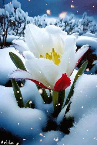 file_95771947