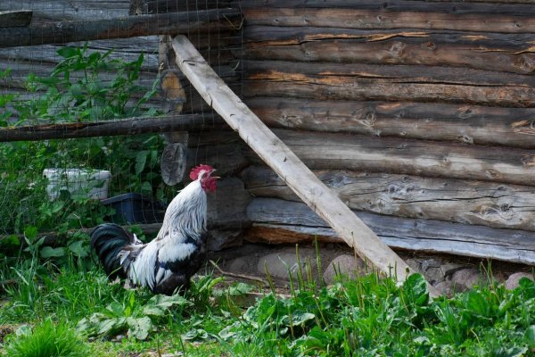 IMG 20250626 224159 563