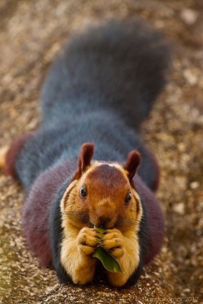 mFuRRHBwGmw