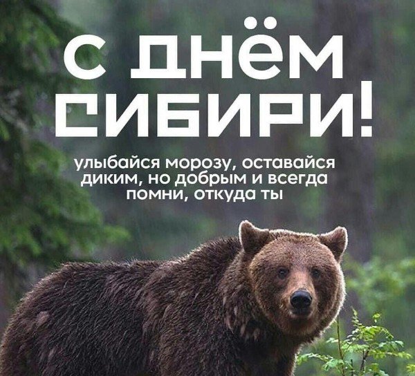 file_95013741
