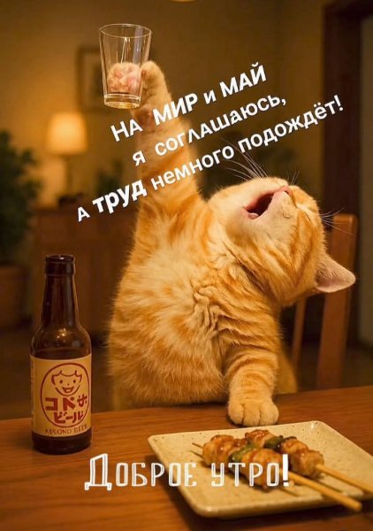 FB IMG 1777725259995