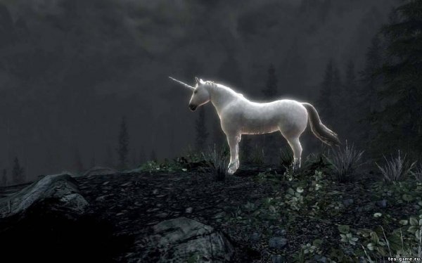 TES-GAME.RU Unicorn main