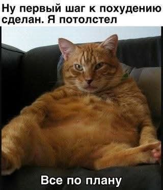 FB IMG 1760274459582