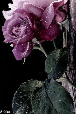 file_93615490