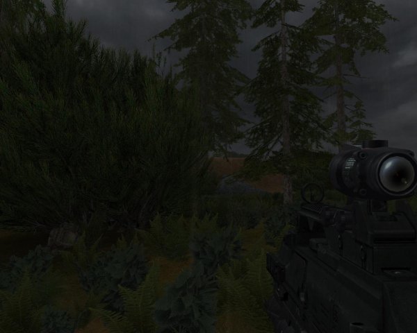 G36C