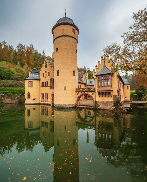 МЕСПЕЛЬБРУНН