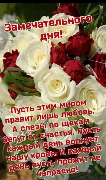 IMG 20260427 222513
