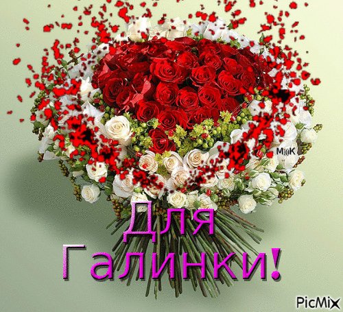 C15ea6f9e8d65340aa7fe837e583d038