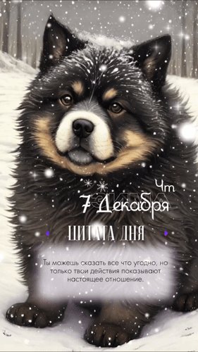 Анимированная открытка ты можешь сказать