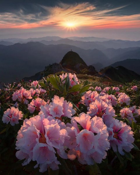 file_91823607