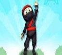 Ninja Super Adventure