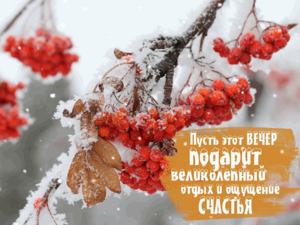 db7e8eaafb904f4645ef08a5d0ce24be
