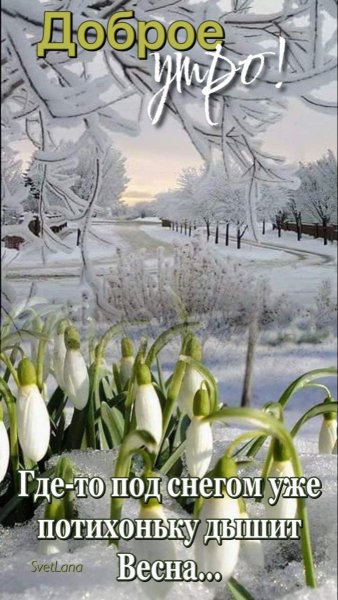 file_89944051