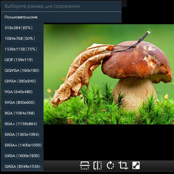 Resize Me! Pro 1.99 Mod:Без шрифтов