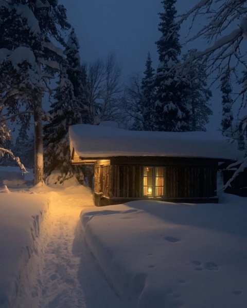 file_95987453