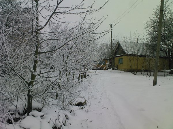Photo-0011
