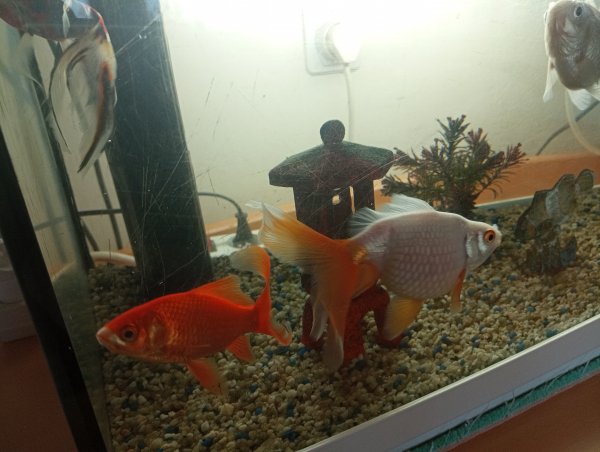 IMG 20230115 101205