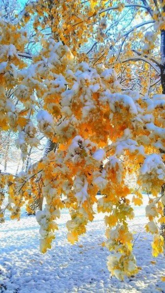 file_94875041