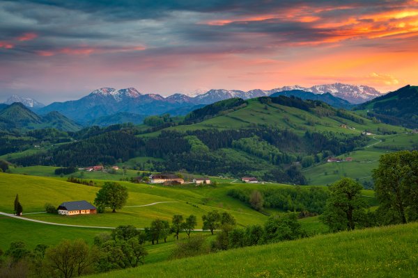 Austria-philipp-fuchsluger-les-gory-polia-kholmy-trava-derev