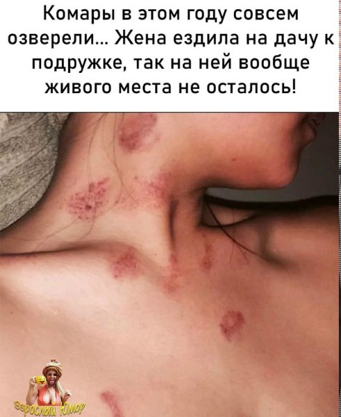 file_103115853