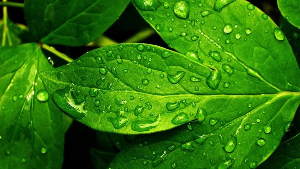 file_76797800