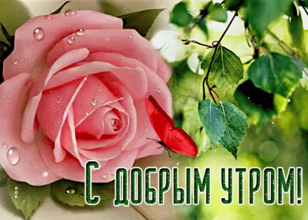 file_100528729